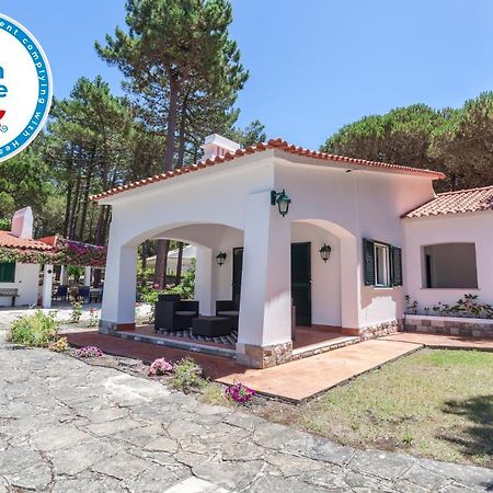 Ocean, Pines And Mountain - Renovated February 2025 - Ac Vila Colares Exterior foto