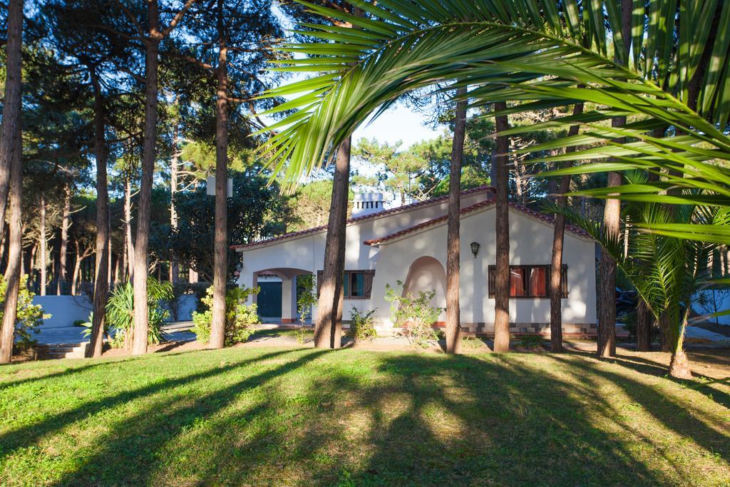 Ocean, Pines And Mountain - Renovated February 2025 - Ac Vila Colares Exterior foto